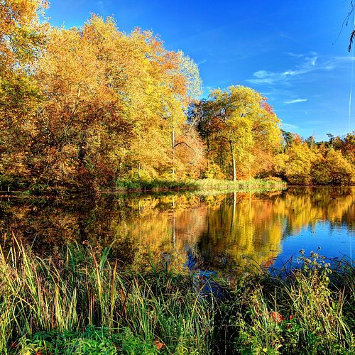 etang-sainte-perine